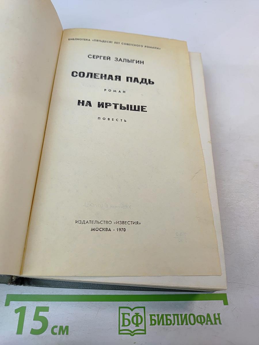 Соленая Падь. На Иртыше