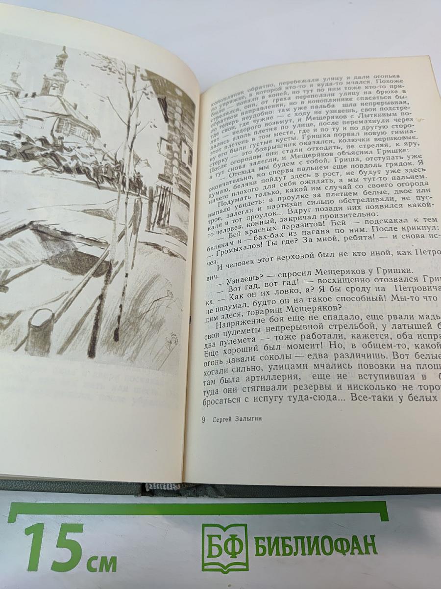 Соленая Падь. На Иртыше