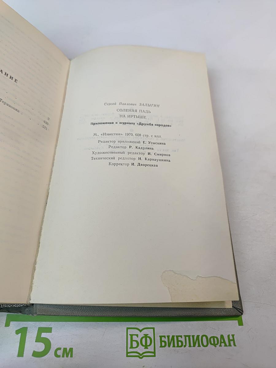 Соленая Падь. На Иртыше