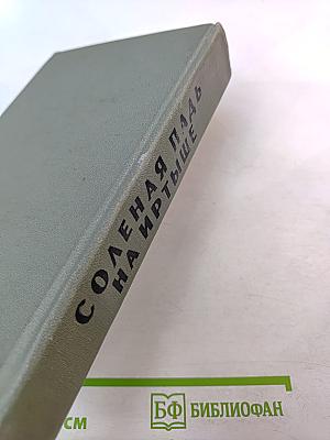 Соленая Падь. На Иртыше