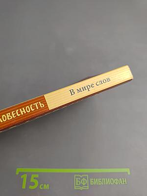 В мире слов