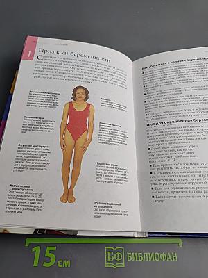 Беременность от зачатия до родов