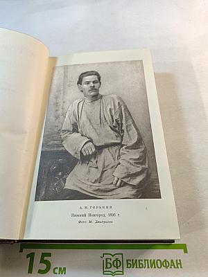 Художественные произведения. Том второй. Рассказы, Очерки, Наброски, Стихи 1894–1896