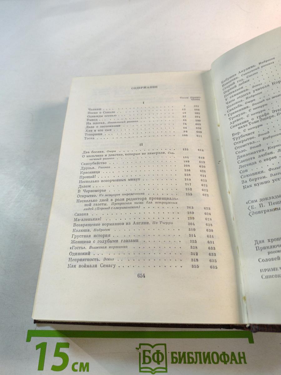 Художественные произведения. Том второй. Рассказы, Очерки, Наброски, Стихи 1894–1896