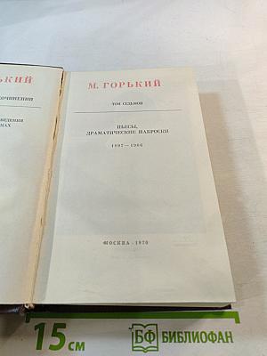 Пьесы, драматические наброски 1897-1906 (Том седьмой)