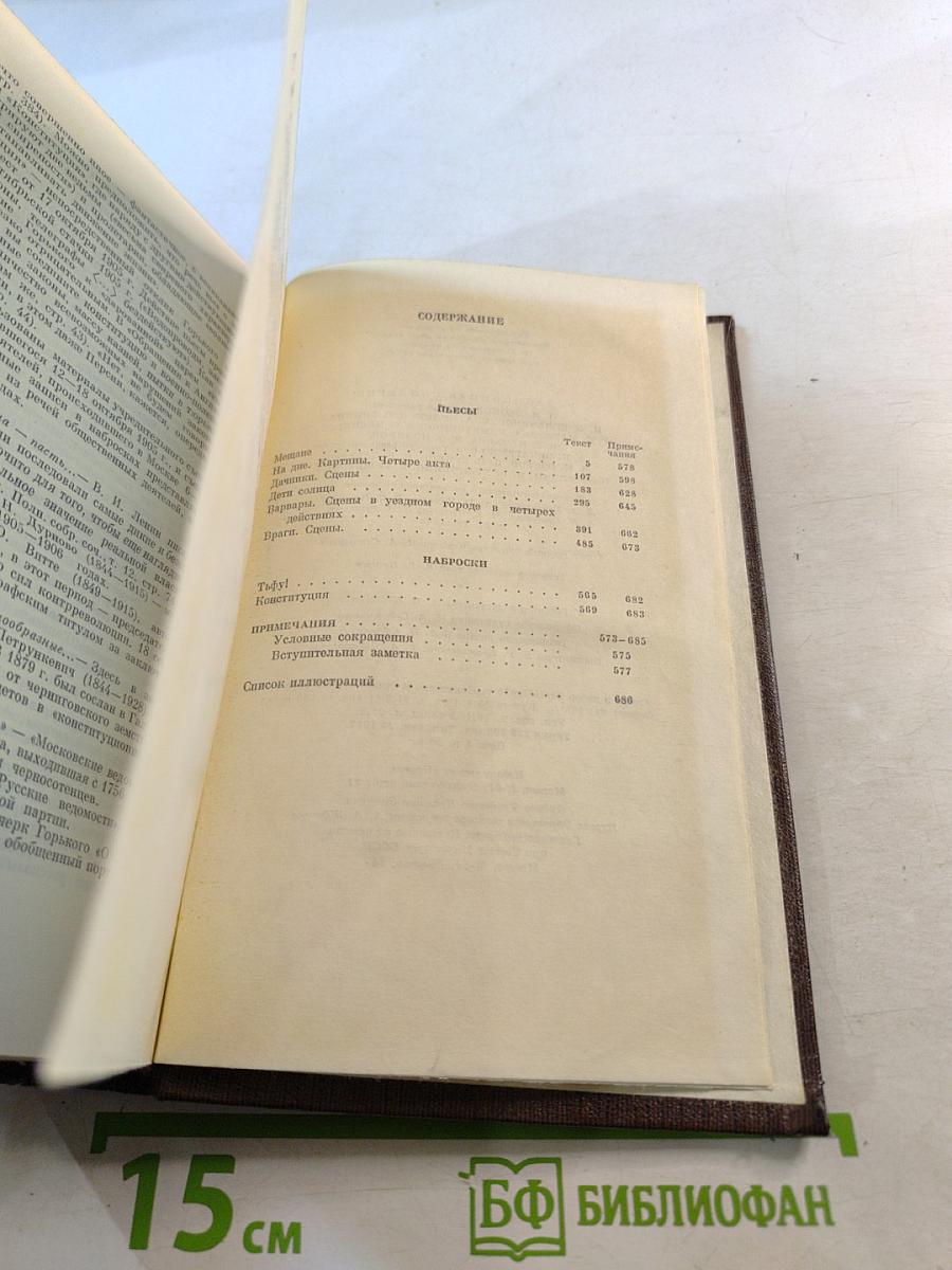 Пьесы, драматические наброски 1897-1906 (Том седьмой)