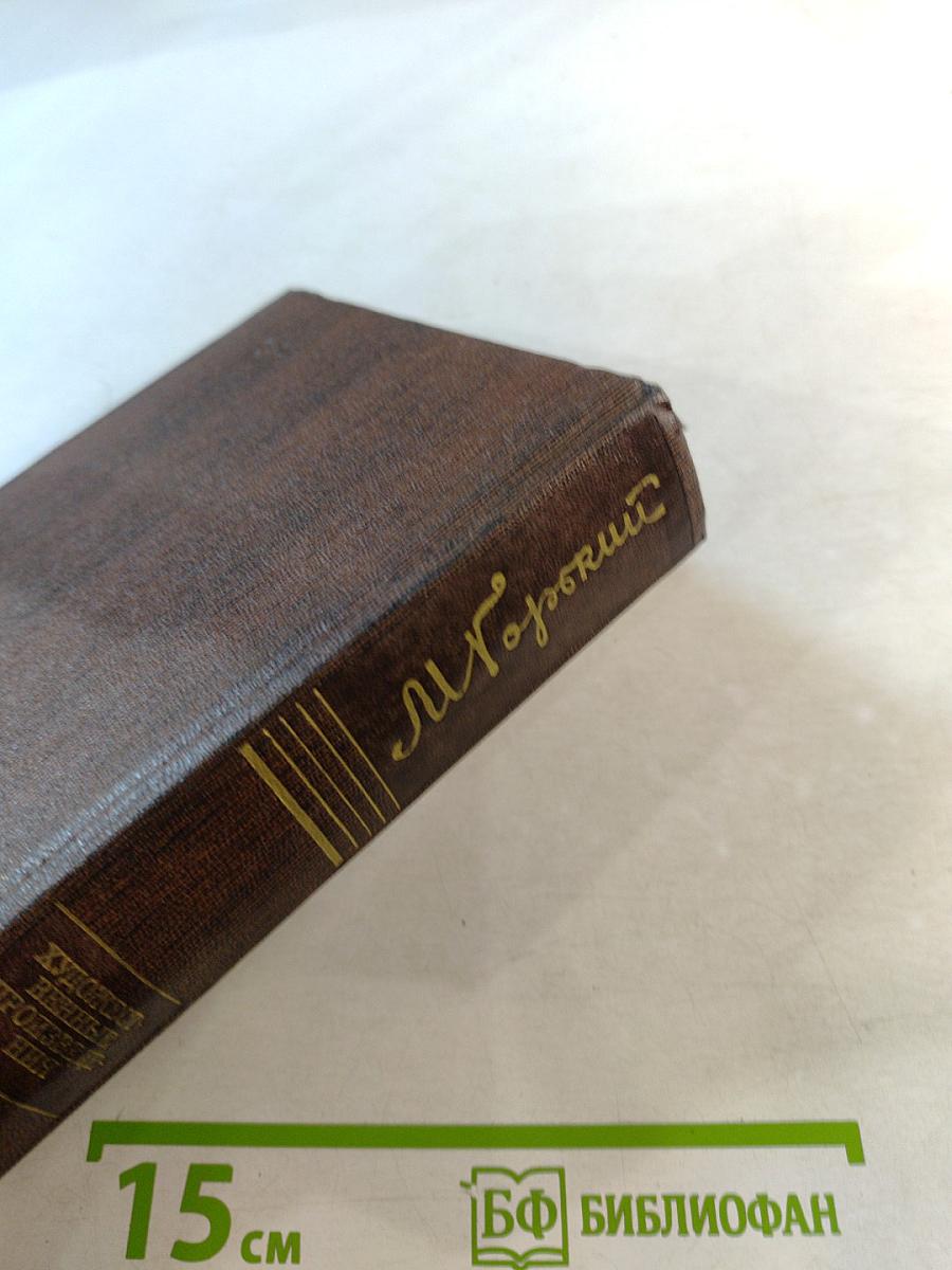 М. Горький. Том семнадцатый. Заметки из дневника. Воспоминания. Рассказы 1922-1924 годов