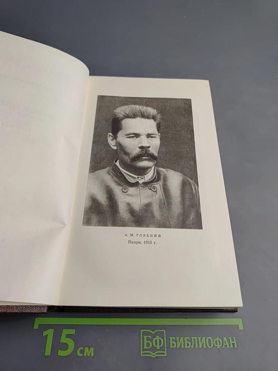 Повести, рассказы, очерки, стихи. Том одиннадцатый