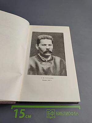 Повести, рассказы, очерки, стихи. Том одиннадцатый