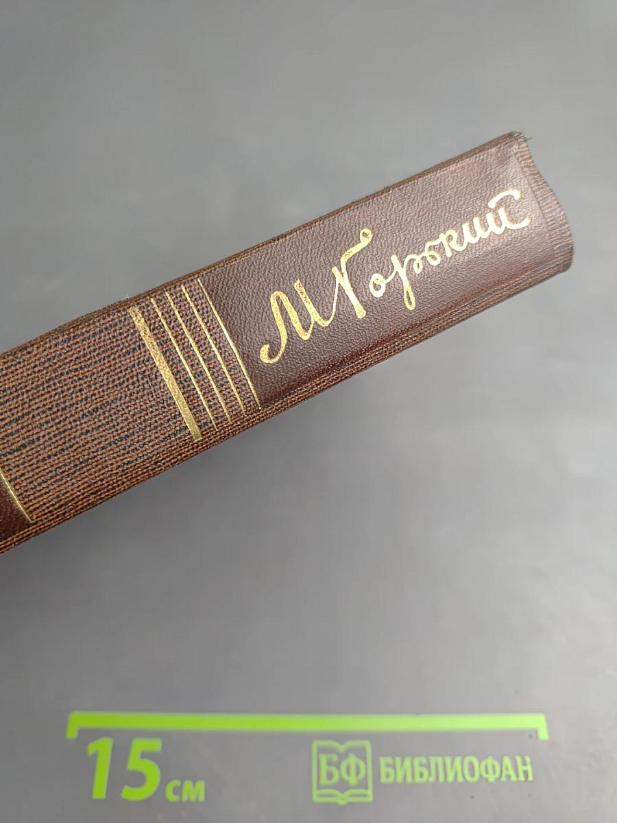 Повести, рассказы, очерки, стихи. Том одиннадцатый