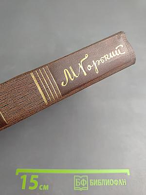 Повести, рассказы, очерки, стихи. Том одиннадцатый