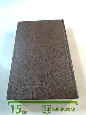 Собрание сочинений. Том пятнадцатый. Повести. Наброски. 1910-1915