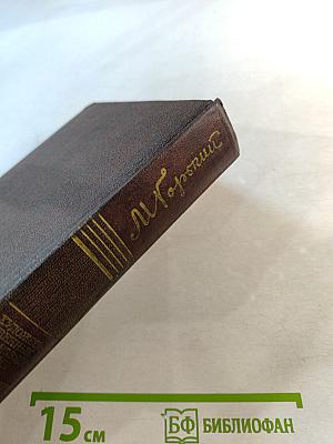 Собрание сочинений. Том пятнадцатый. Повести. Наброски. 1910-1915