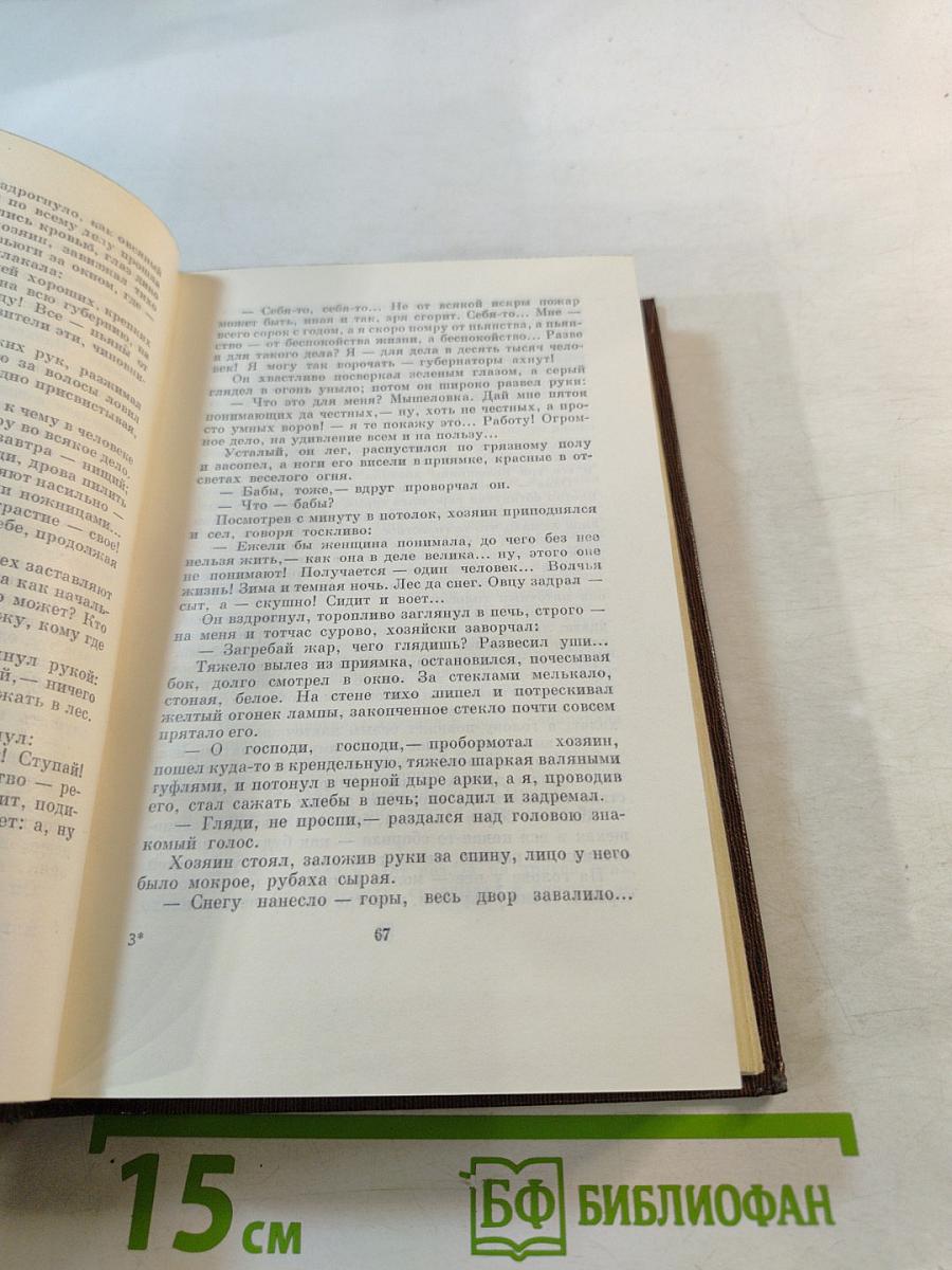 Собрание сочинений. Том четырнадцатый: Повесть. Рассказы. 1912–1917