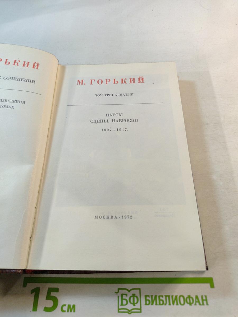 Пьесы. Сцены. Наброски. Том тринадцатый