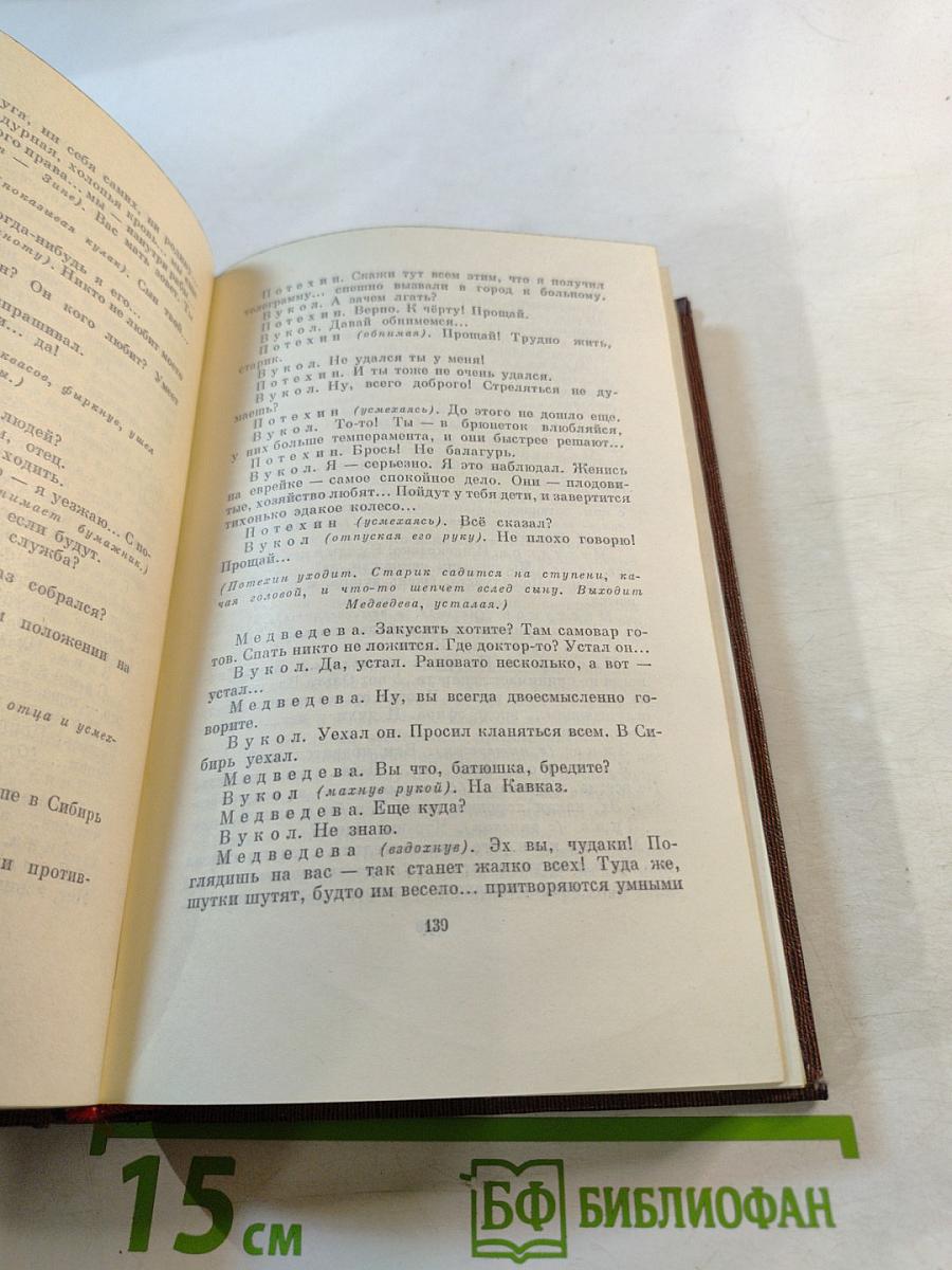 Пьесы. Сцены. Наброски. Том тринадцатый