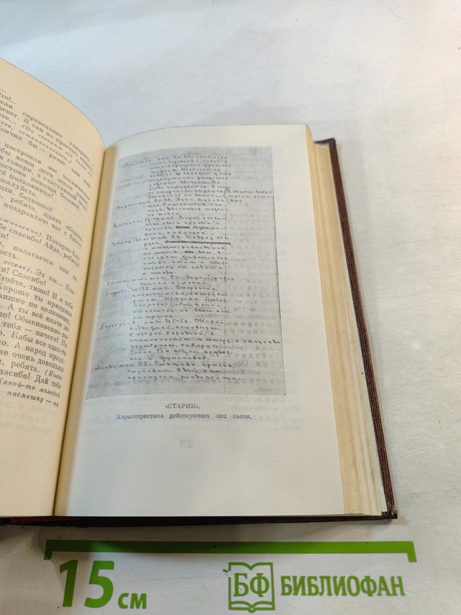 Пьесы. Сцены. Наброски. Том тринадцатый