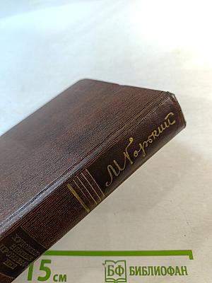 Пьесы. Сцены. Наброски. Том тринадцатый