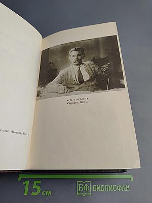 Жизнь Клима Самгина. Часть вторая. Том двадцать второй
