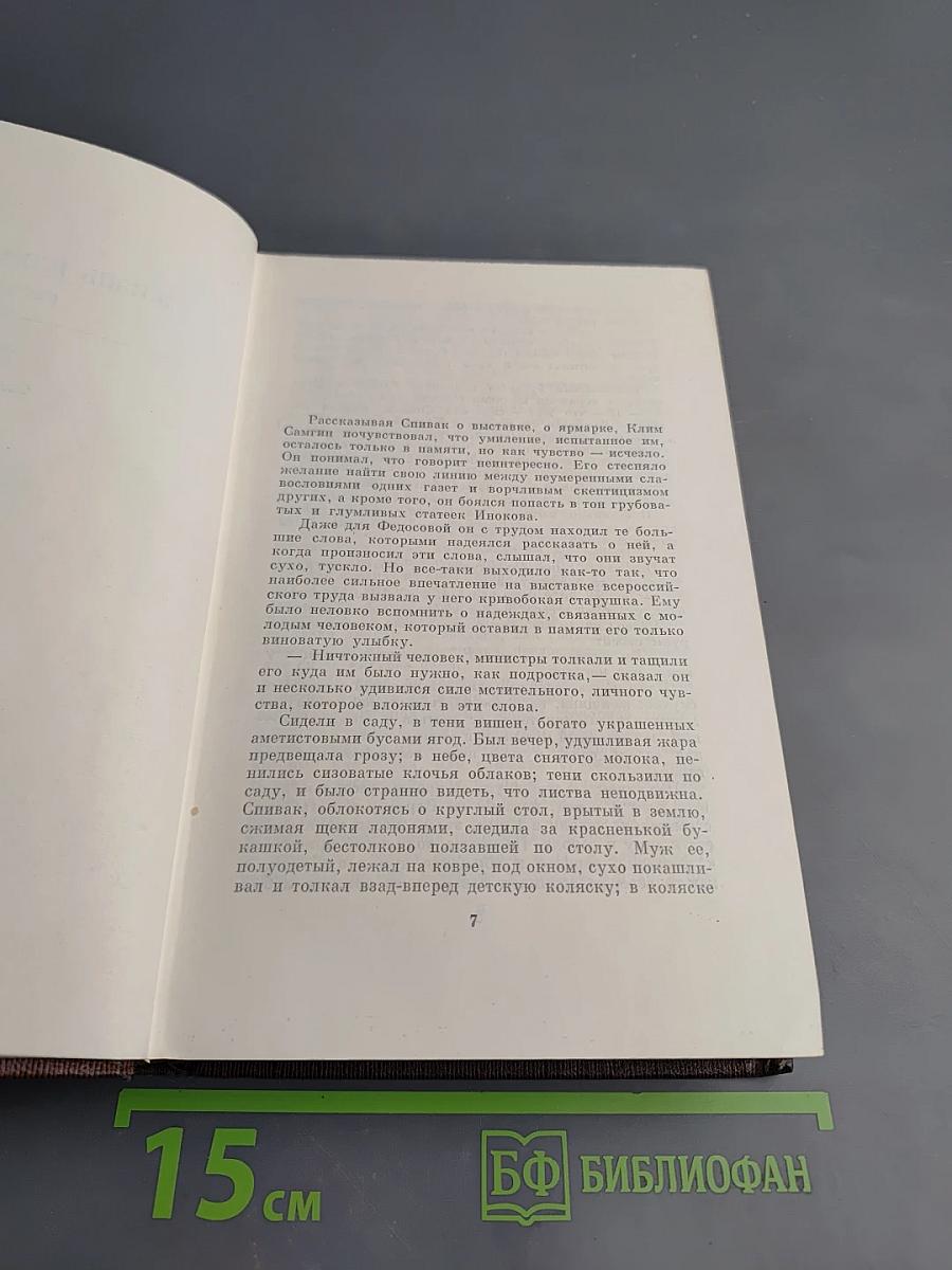 Жизнь Клима Самгина. Часть вторая. Том двадцать второй