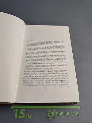 Жизнь Клима Самгина. Часть вторая. Том двадцать второй