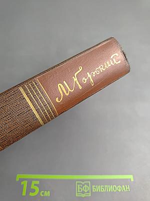 Жизнь Клима Самгина. Часть вторая. Том двадцать второй