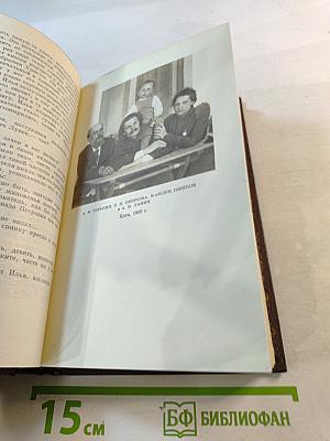 Собрание сочинений. Том 5: Трое. Рассказы, наброски 1899-1901