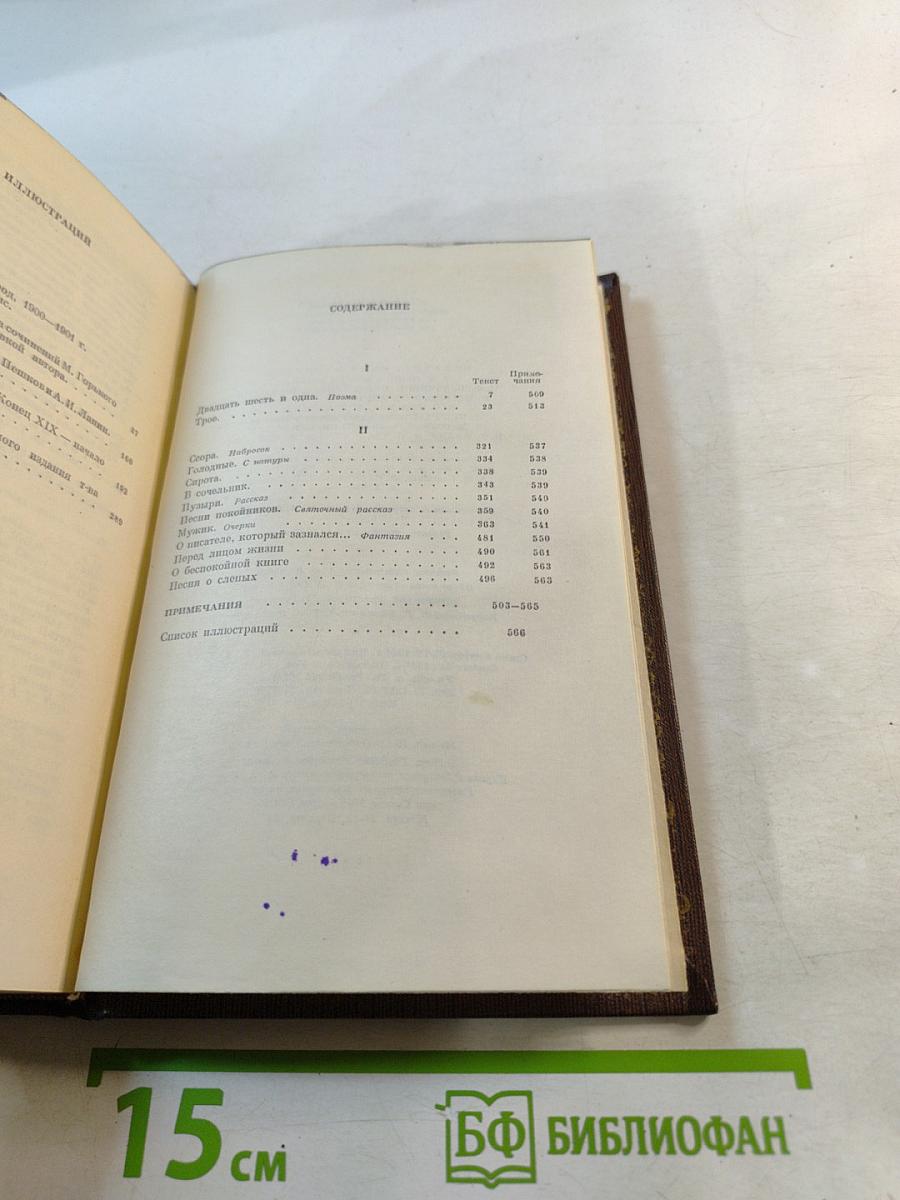 Собрание сочинений. Том 5: Трое. Рассказы, наброски 1899-1901