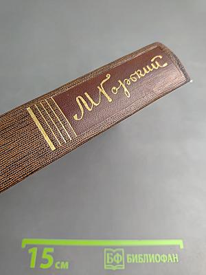 Жизнь Клима Самгина (Сорок лет). Часть четвертая. Том двадцать четвертый