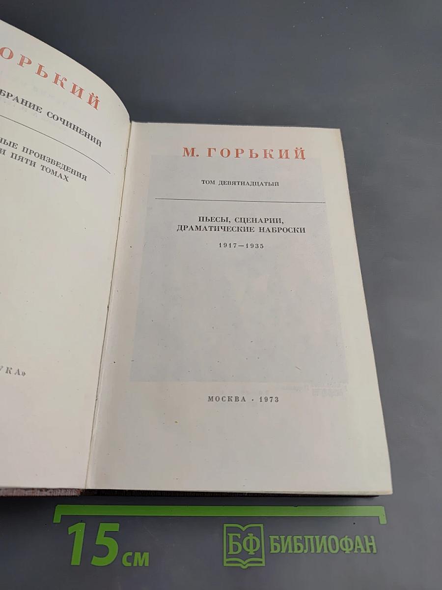 Собрание сочинений. Том девятнадцатый. Пьесы, сценарии, драматические наброски 1917-1935