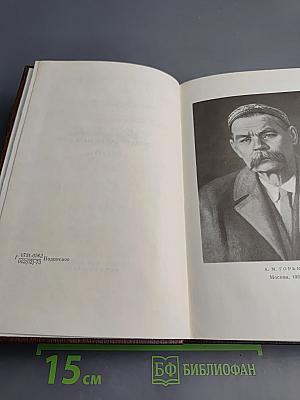 Собрание сочинений. Том девятнадцатый. Пьесы, сценарии, драматические наброски 1917-1935