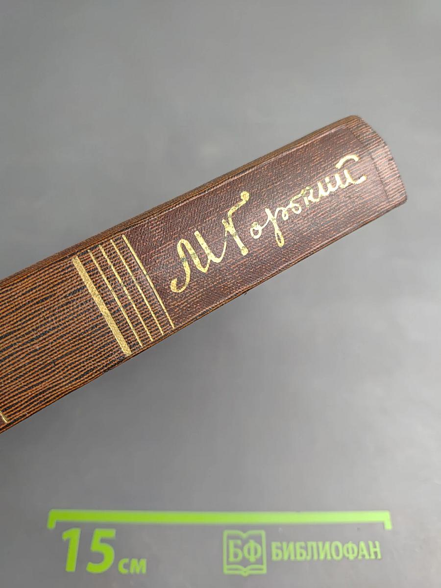 Собрание сочинений. Том девятнадцатый. Пьесы, сценарии, драматические наброски 1917-1935