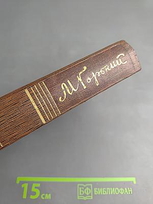 Собрание сочинений. Том девятнадцатый. Пьесы, сценарии, драматические наброски 1917-1935