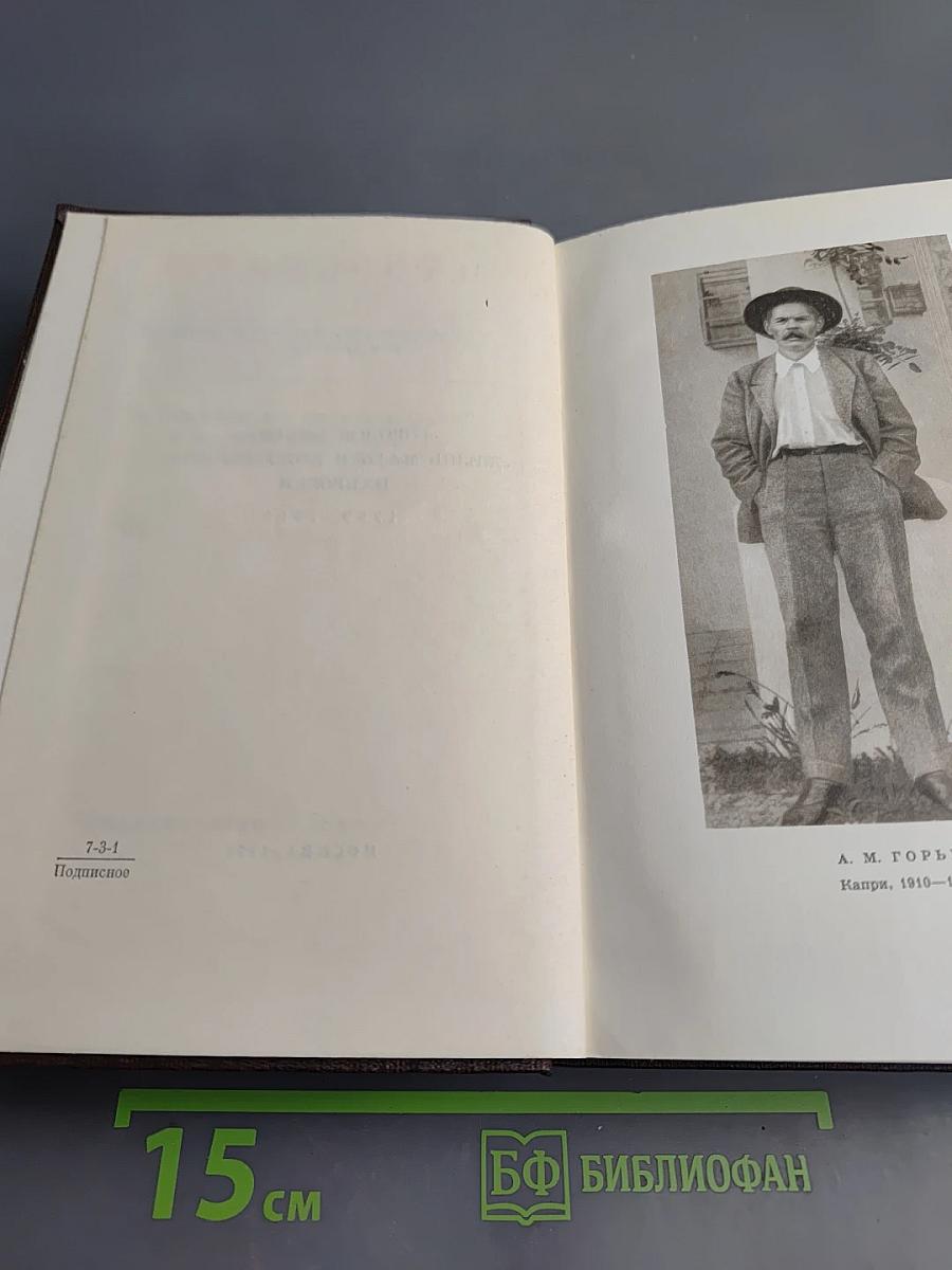 Собрание сочинений. Том десятый. Город Окуров. Жизнь Матвея Кожемякина. Наброски