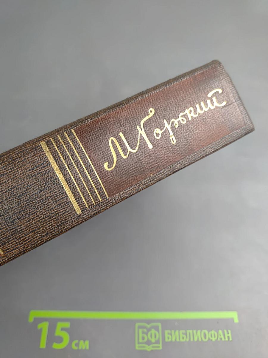 Собрание сочинений. Том десятый. Город Окуров. Жизнь Матвея Кожемякина. Наброски