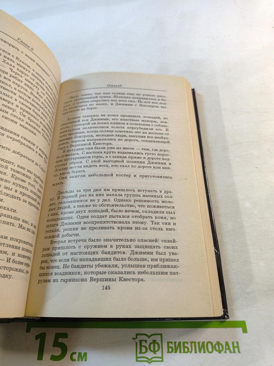 Ночные ястребы