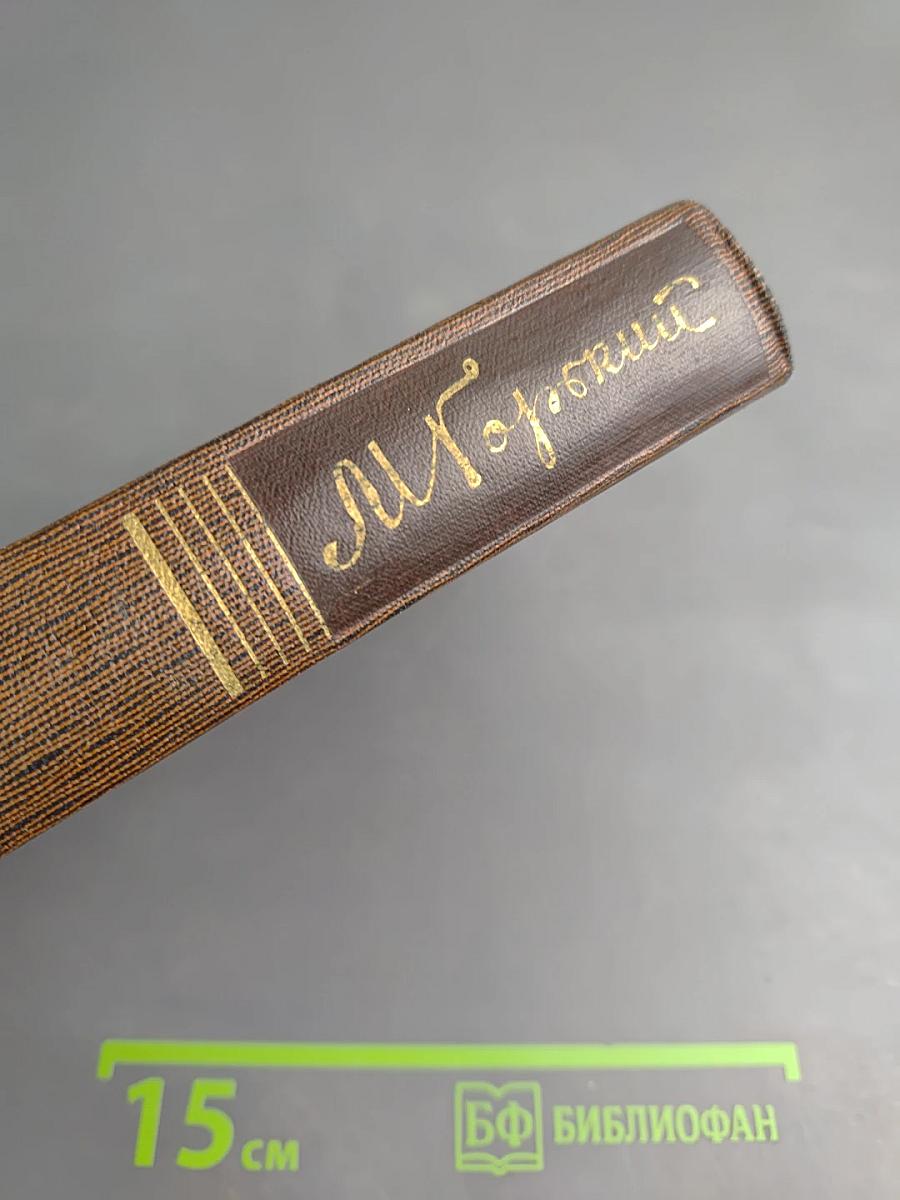 Рассказы, очерки, воспоминания. 1924-1935. Том двадцатый