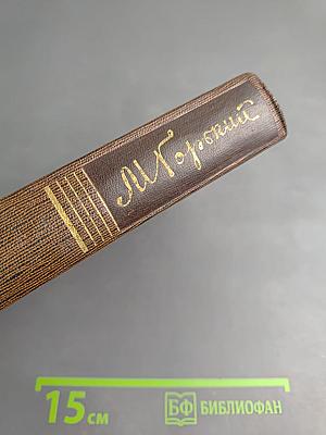 Рассказы, очерки, воспоминания. 1924-1935. Том двадцатый