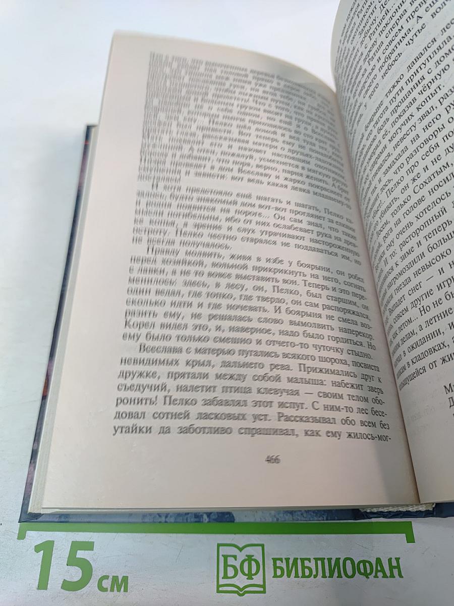 Тот, кого я всегда жду