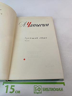 Гулящие люди. Том 5