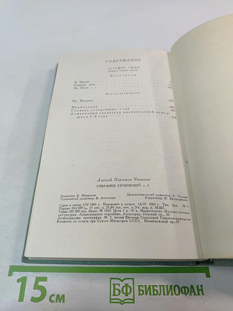 Гулящие люди. Том 5