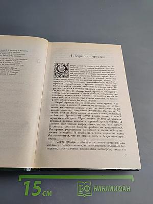 Волкодав. Право на поединок