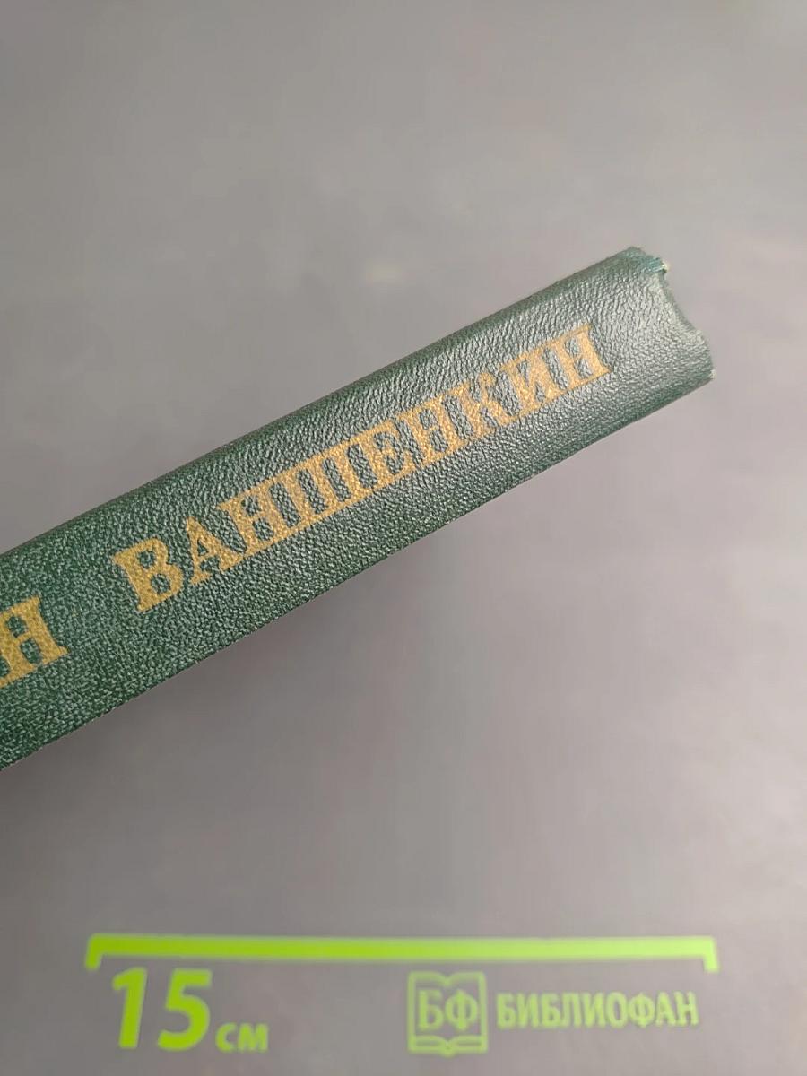 Поиски себя: Воспоминания, заметки, записи