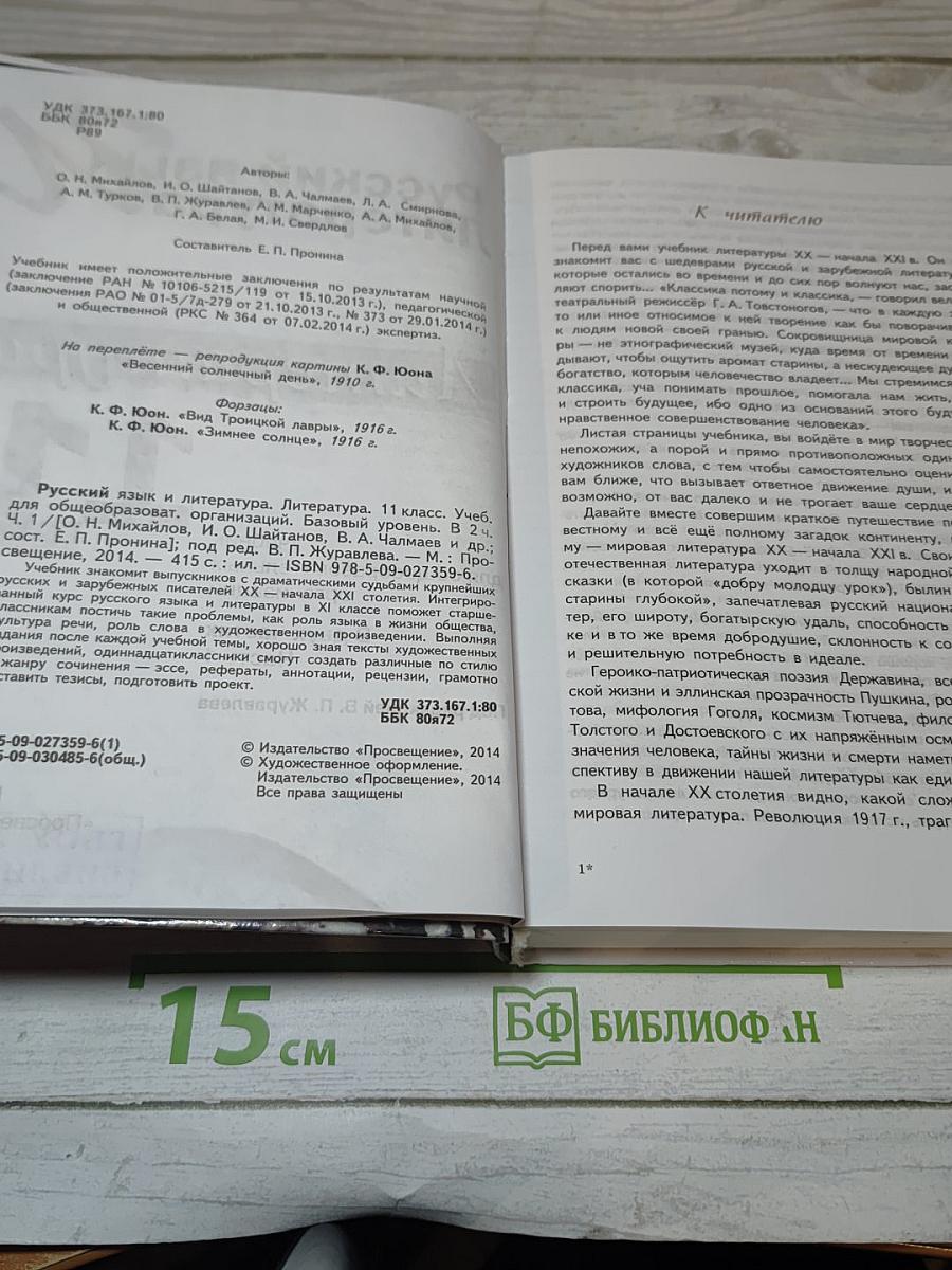Литература. 11 класс. Часть 1