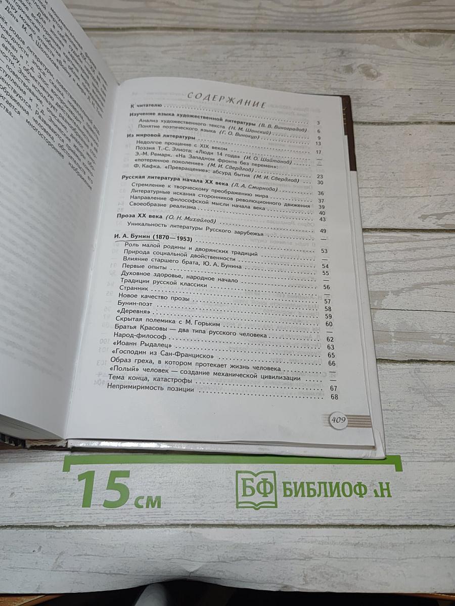 Литература. 11 класс. Часть 1