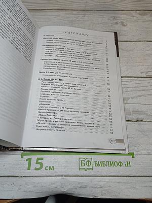Литература. 11 класс. Часть 1