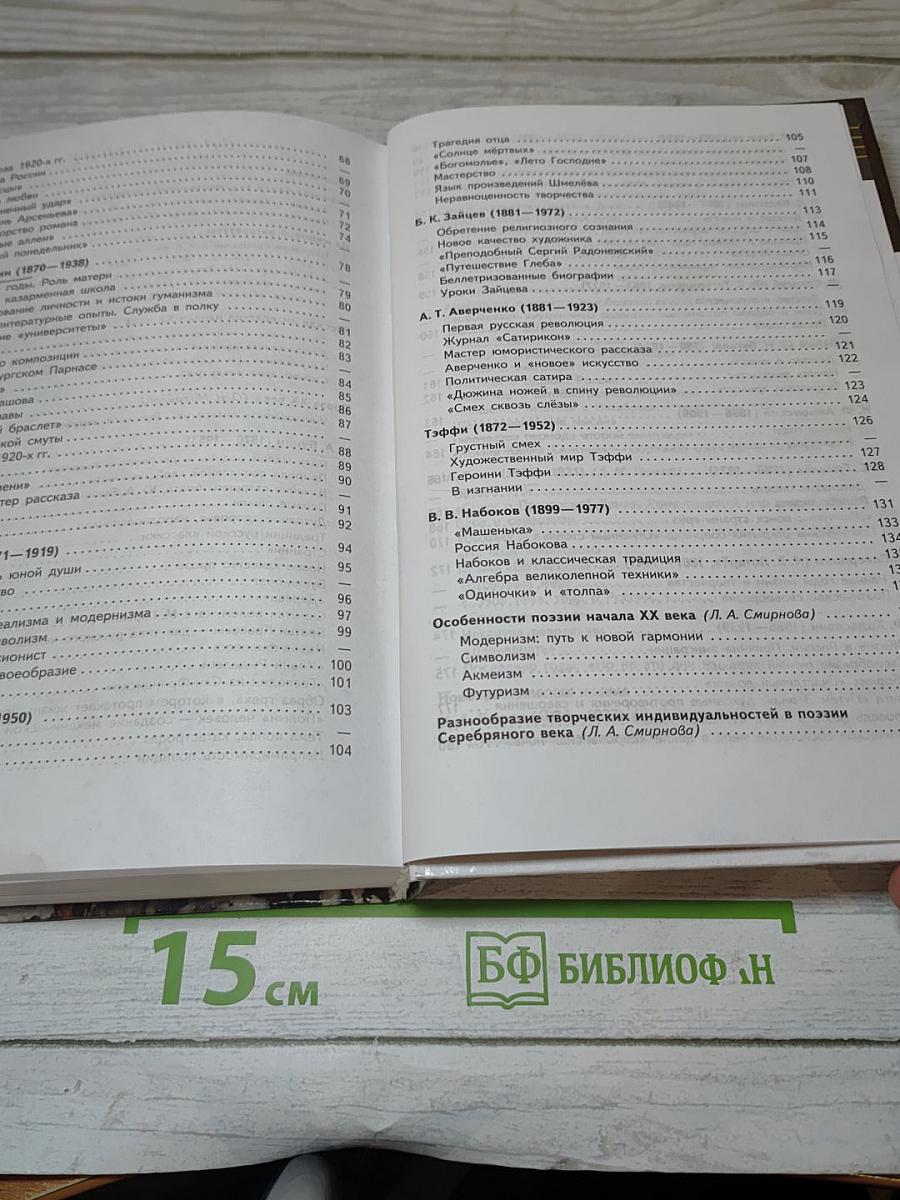 Литература. 11 класс. Часть 1