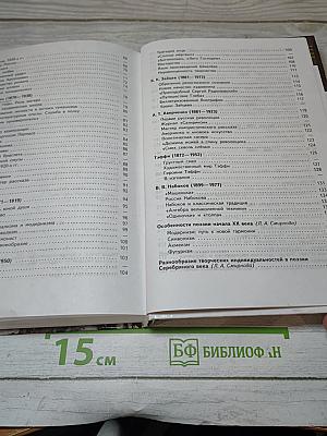 Литература. 11 класс. Часть 1