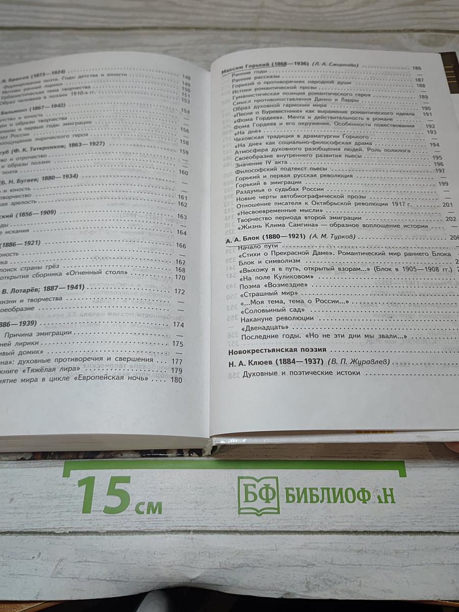 Литература. 11 класс. Часть 1