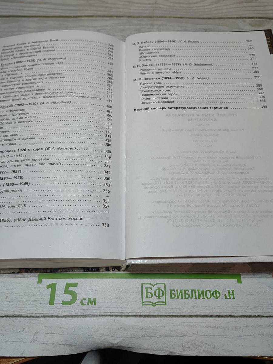 Литература. 11 класс. Часть 1